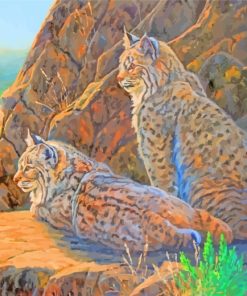 Bobcats Animals paint by numbers