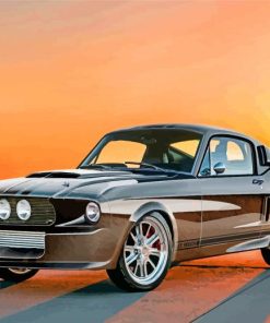 Classic Car GT500 paint by numbers