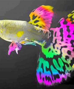 Colourful Guppy Fish paint by numbers