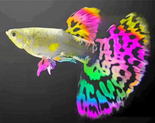 Colourful Guppy Fish paint by numbers