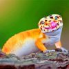 Cute Gecko paint by numbers