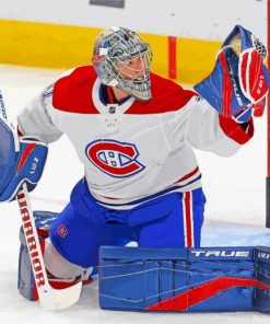 Habs Carey Price paint by numbers
