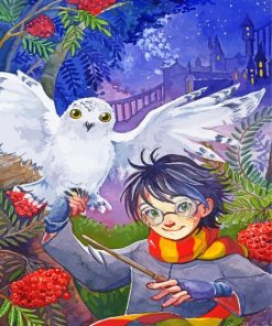 Hedwig And Harry Potter paint by numbers