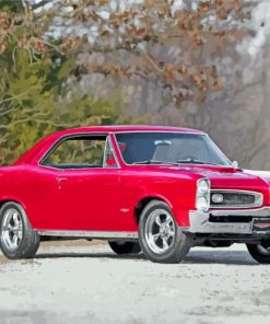 Red GTO Car paint by numbers