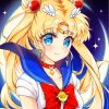 sailor moon paint by numbers