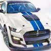 White Shelby GT500 paint by numbers