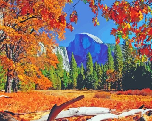 Yosemite National Park In Fall paint by numbers