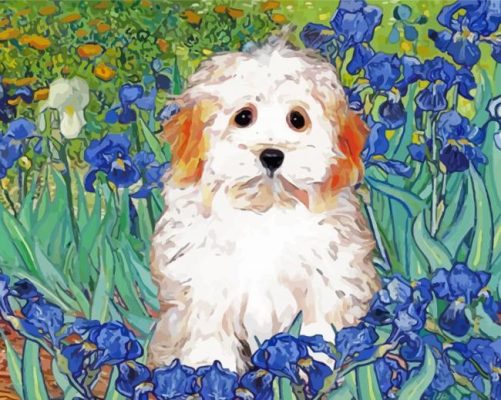 Cute Maltipoo Dog Paint By Numbers