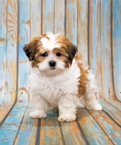 Shih Poo Dog Paint By Numbers