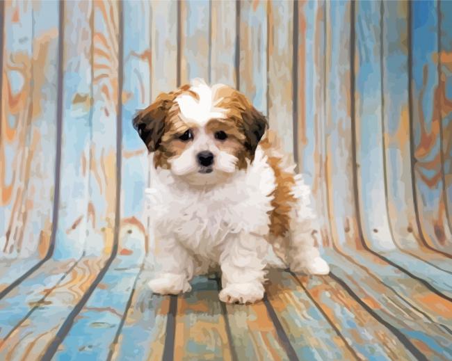 Shih Poo Dog Paint By Numbers